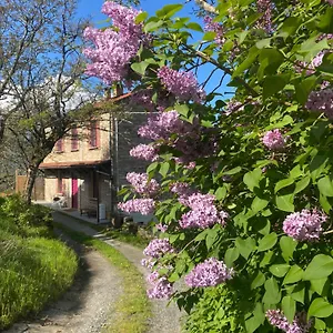 La Lupa E L'orso Frühstückspension Berceto